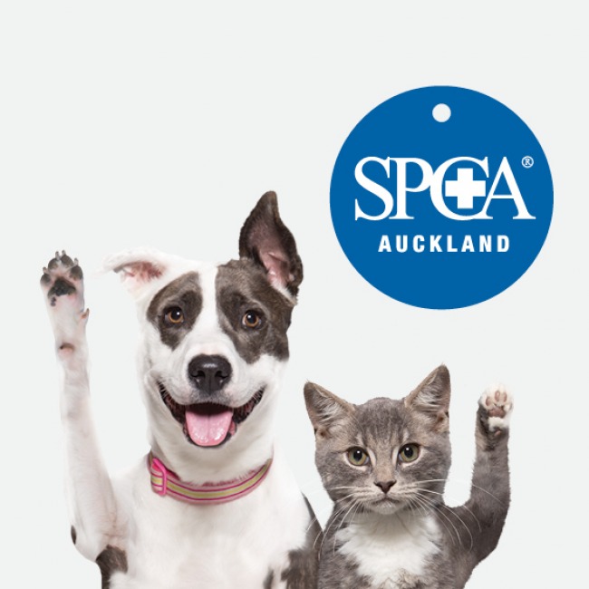 SPCA Auckland | Campaign for a new Animal Crisis Centre