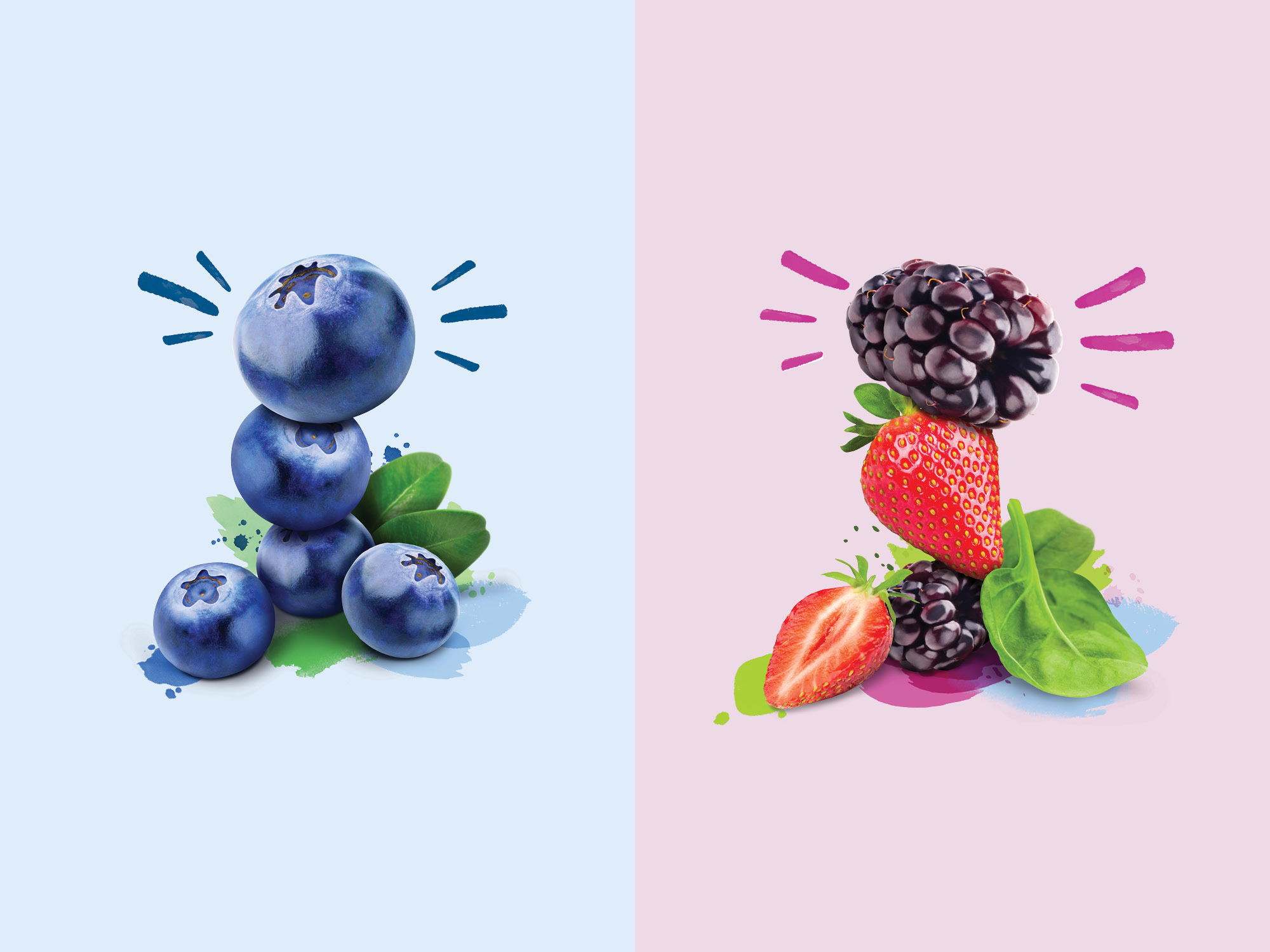 onfire design uniqberry frozen berry packaging design 12